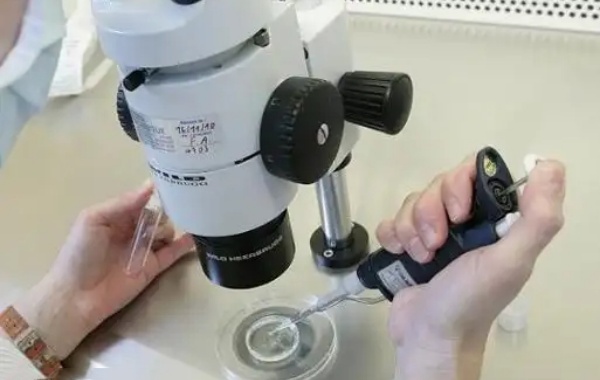 做三代试管建完档案到移植胚胎全程最快需要多久？