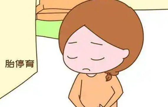 孕中期判断胎儿停育最明显的征兆是哪4个？