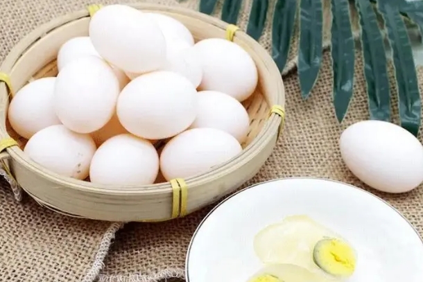 女人吃鸽子蛋可以预防麻疹