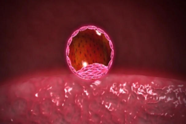 试管婴儿移植一枚胚胎后着床时间一般是什么时候？