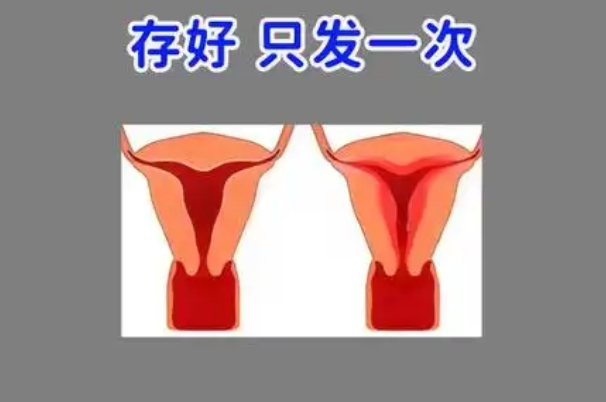 子宫内膜厚度不足会影响胚胎着床