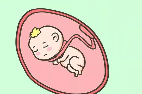 脐带绕颈80%生男孩是假的