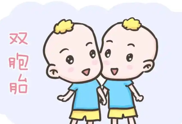 1米58的身高可以做三代试管生双胞胎吗？