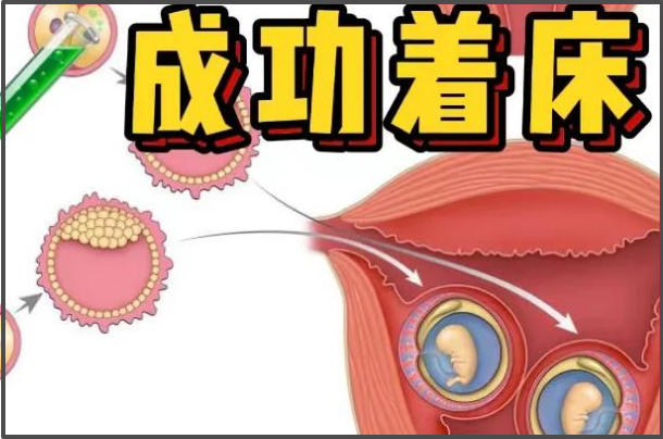 内膜厚度会影响胚胎着床的时间