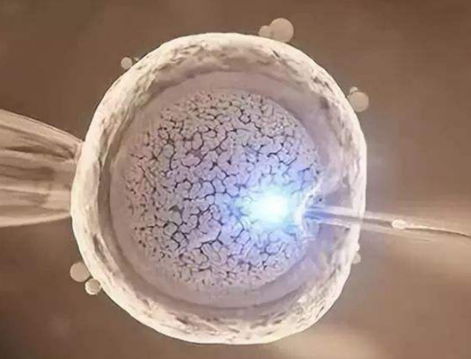 [内膜薄卵泡成熟能怀上吗？怀孕几率多少？]