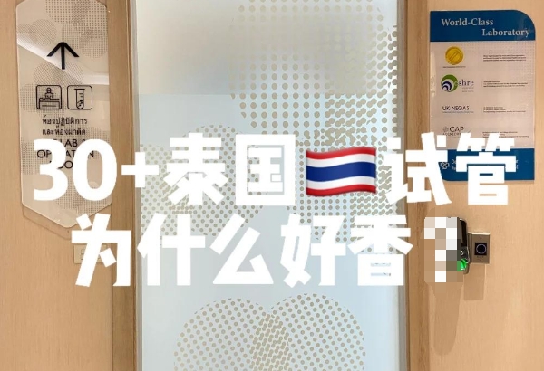 正规的泰国试管婴儿医院技术实力强