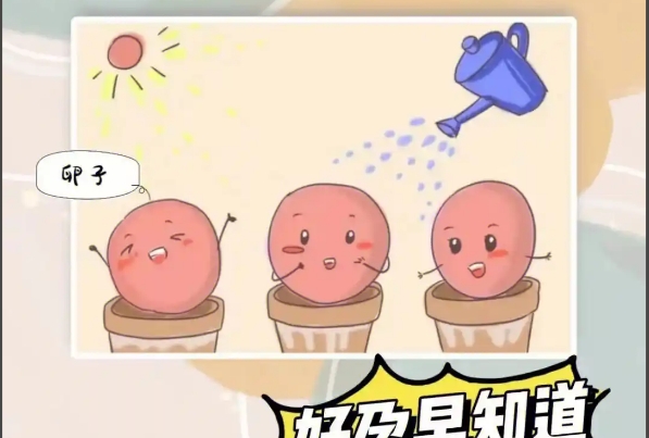 人工授精跟促排怀孕的几率因人而异