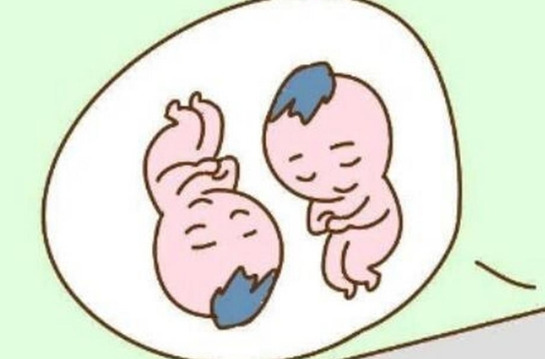 试管怀双胞胎的价格比单胎贵