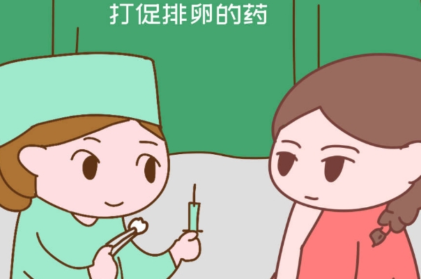 打促排针有利于卵泡发育