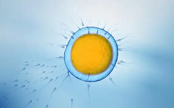 上海集爱医院能做供卵试管吗？身体条件是关键