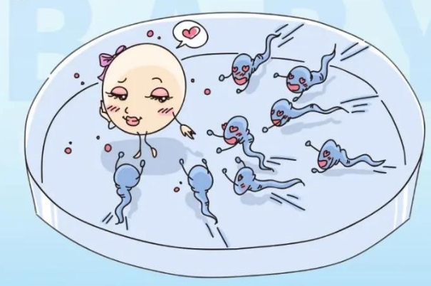 结婚3年没孩子如果要做一代试管有什么要注意的么?