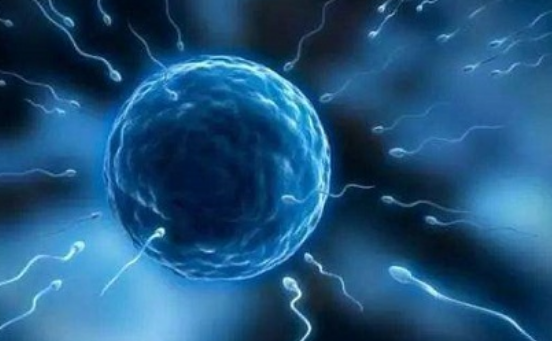 芜湖不孕不育正规医院排名，这3家医院试管成功率高