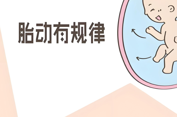 22周胎动有时候频繁有时候不动是怀男宝的表现吗？