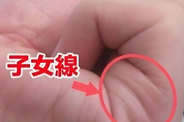 通过手相算子女数量不可靠