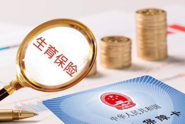 生育津贴发放太慢了怎么查询进度呢？