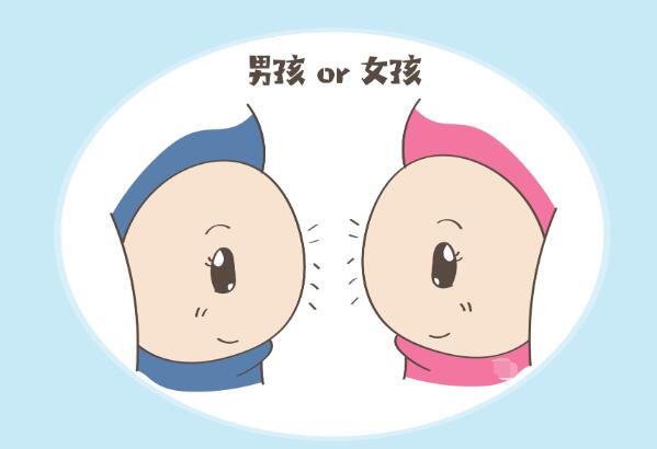 2024年怀孕清宫对照表，胎儿是男是女一看就知道