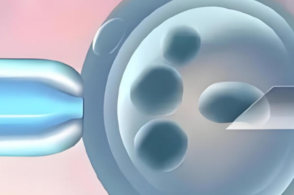 试管婴儿移植全流程解析，从胚胎培养到妊娠管理的关键步骤