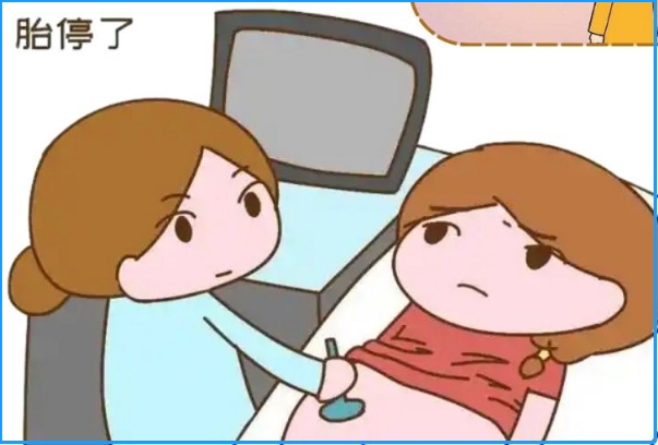 假如胚胎质量不好通常会在怀孕第几周引发胎停？