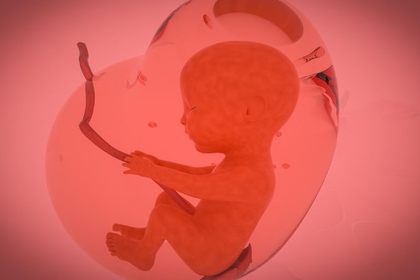 怀男孩女孩后孕中期胎动最明显的区别是什么呢？
