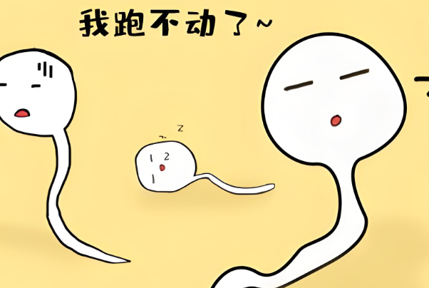 一代试管胚胎移植后不着床跟精子活力有关吗？