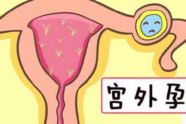 促排卵药物可以刺激卵巢发育