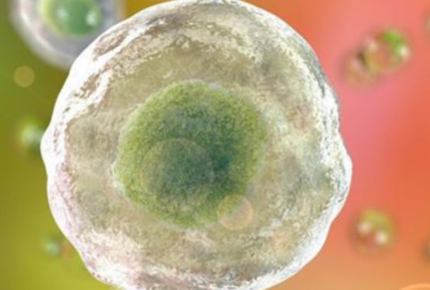 多囊试管移植后空孕囊原因多