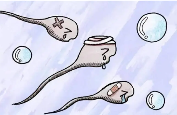 弱精症轻自然怀孕几率较大