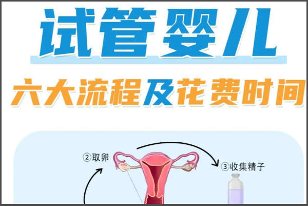 试管初期要先做全身检查