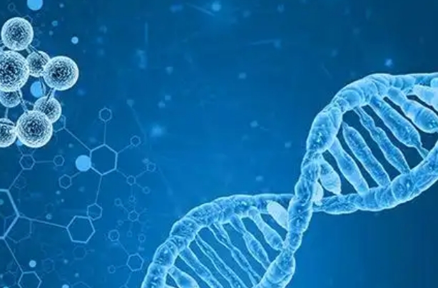 三代试管婴儿备孕全攻略，科学助力提高受孕几率