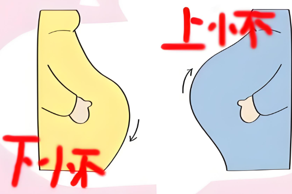 下怀身形更为明显