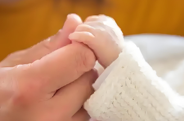 用二级八细胞胚胎做试管婴儿移植生下的孩子更聪明吗？