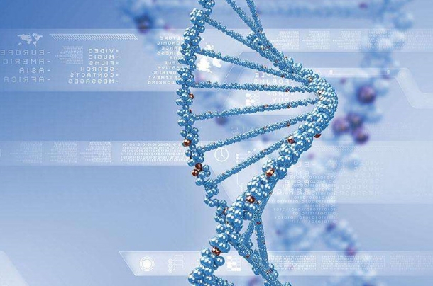 第三代试管pgd可以查筛查出身体残疾吗？