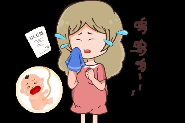 胚胎质量不好会影响hcg分泌