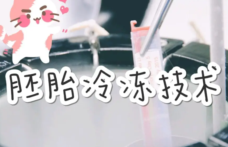 胚胎冷冻费用很贵