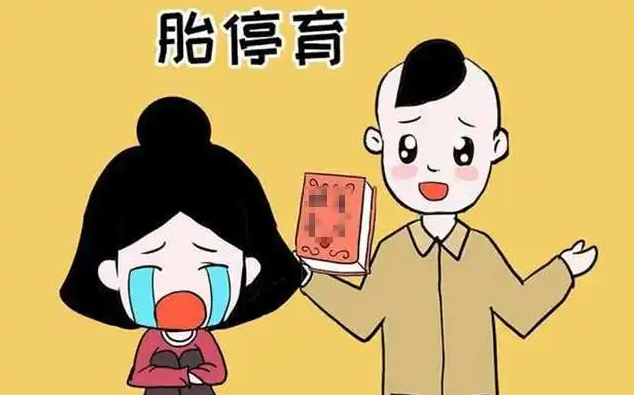 过来人全面解读胎停前兆，出现这些症状赶紧就医检查