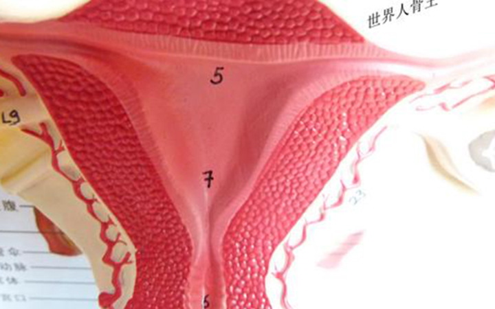 弓形子宫凹陷轻重怎么看？10mm就很严重