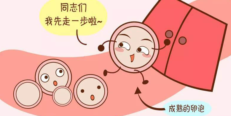 盘点女性卵泡破裂症状，出现这些征兆征兆请提高警惕