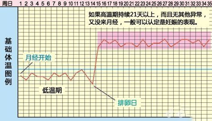 备孕课堂：你必须要知道的排卵日算法及症状
