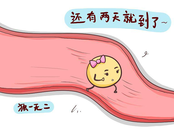 卵泡监测需要一周左右的时间
