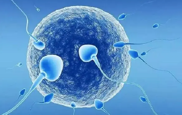 二代试管婴儿技术对精子质量的要求相对较低