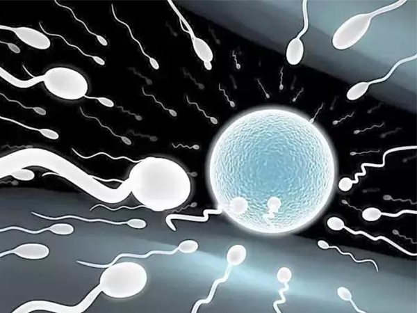 上海第一妇幼医院试管成功率64%