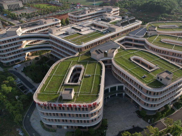 中信湘雅试管婴儿大夫推荐，2024龚斐、刘黎青好评多