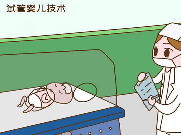 西囡试管成功率比较高