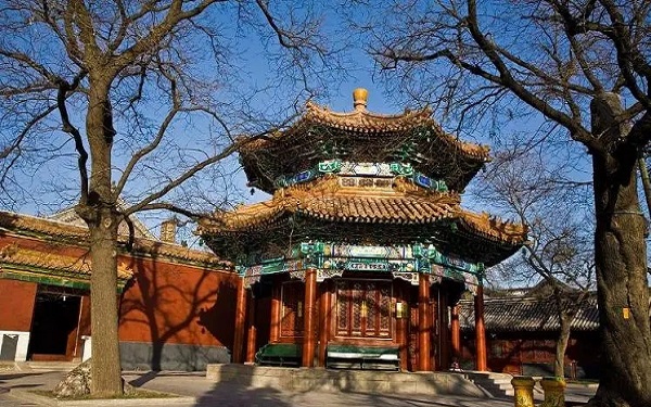 北大医院能不能开展供卵试管婴儿技术，看有无资质就知