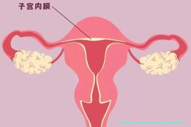 重度少精试管成功率高吗,重度少精症还能生育吗！