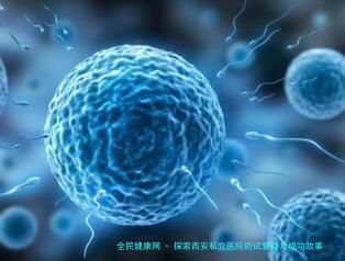 探索西安私立医院的试管婴儿成功故事