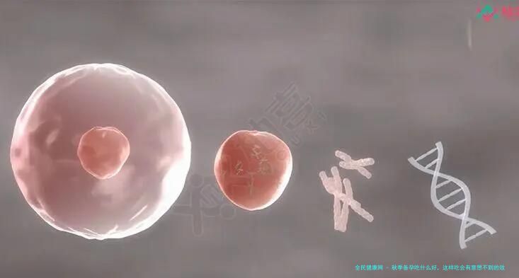 秋季备孕吃什么好，这样吃会有意想不到的效果