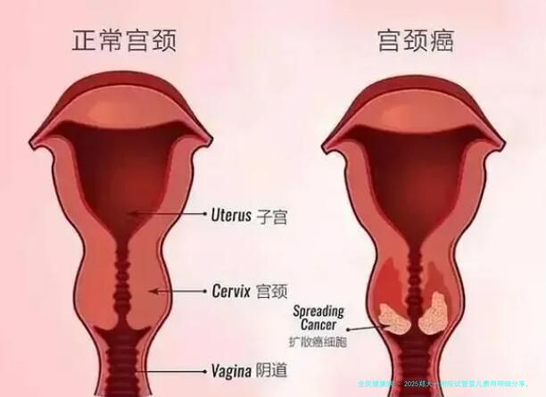 2025郑大一附院试管婴儿费用明细分享，内附试管成功率及医生介绍
