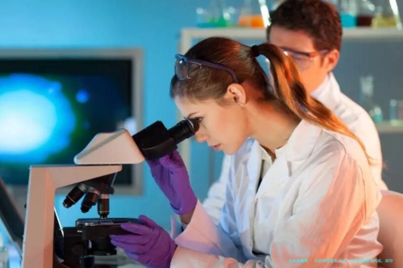 冻胚移植要多少钱？全面剖析费用构成，助你科学规划生育路