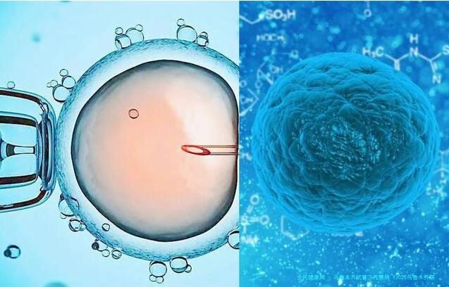 乌鲁木齐试管三代费用（2025乌鲁木齐第三代试管包生男孩多少费用）